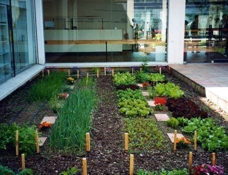 Huerta cerca de la cocina – casa web
