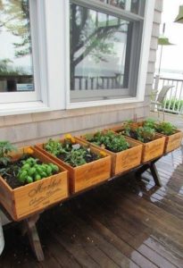 como organizar la huerta en el balcon