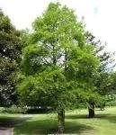 Plantas exteriores en invierno | Casa Web