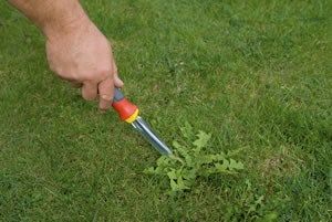 Haz esto para quitar las malas hierbas de tu jardín