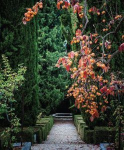 jardin estilo antiguo jardin renacentista