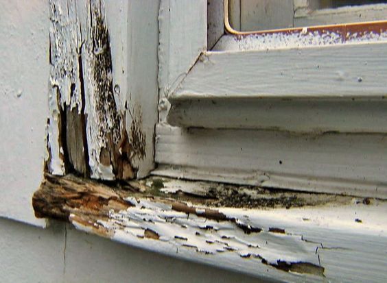reparar ventanas de maderas viejas