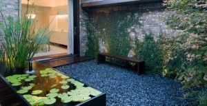 patio interno con piedra planta y estanque