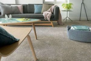 living moderno con alfombra