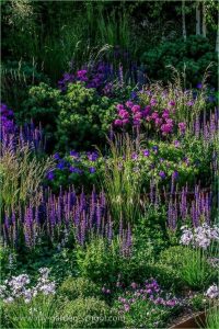 jardin con colores analogos azules lilas y violetas