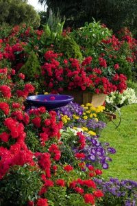 jardin con flores contrastantes y alegres