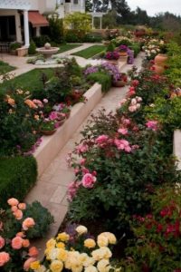 jardines con rosas multicolores