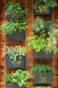 jardin vertical con plantas aromaticas