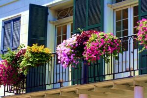 decorar balcones con flores y plantas