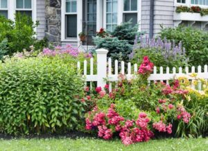 jardin con plantas de bajo mantenimiento