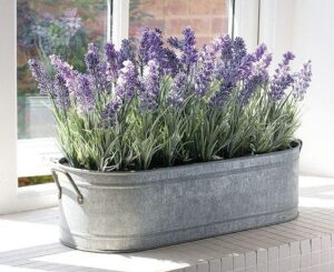 Lavanda flores con fragancias